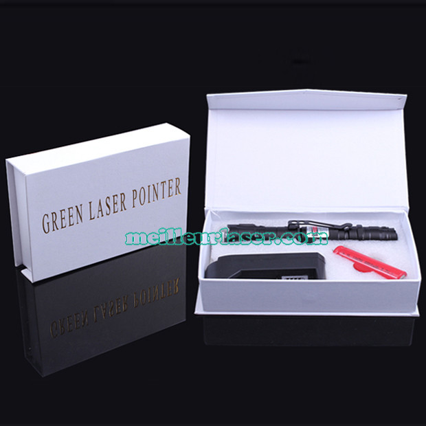  laser 2000mW prix