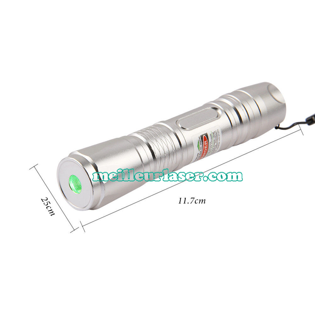 pointeur laser 300mW prix
