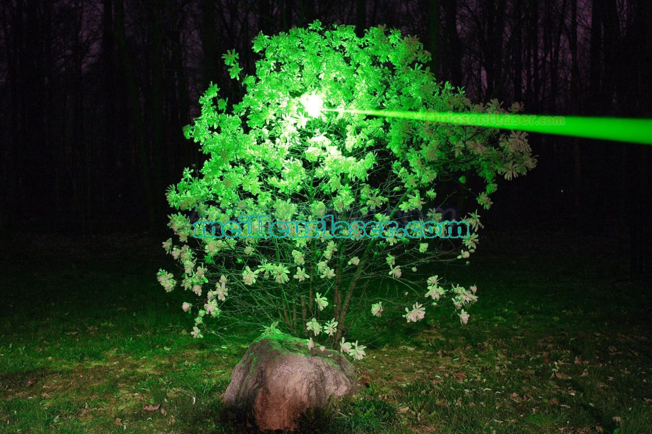  laser pointeur vert 10000mW