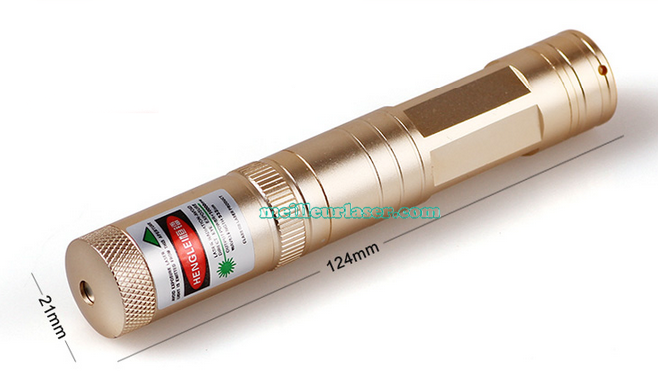 pointeur laser 1000mW pas cher