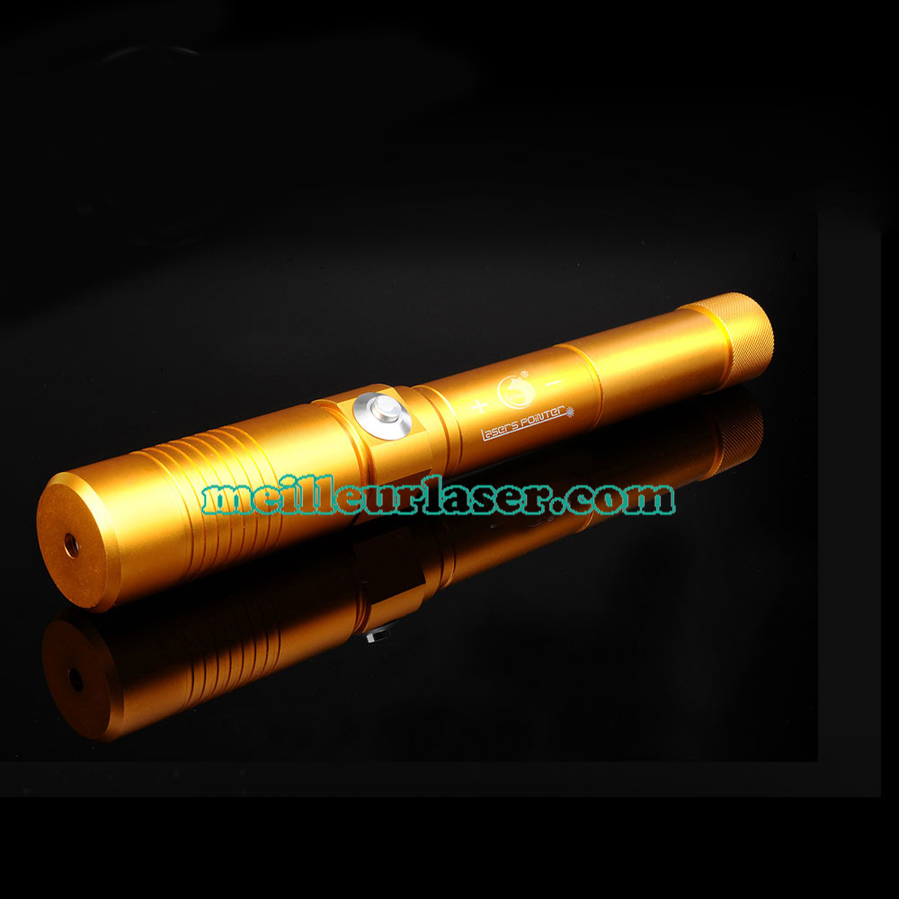 pointeur laser bleu 50000mW pas cher