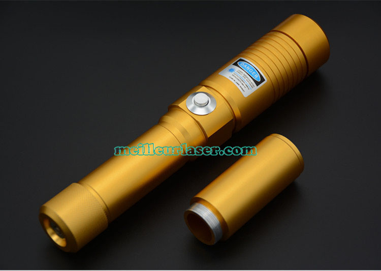 pointeur laser bleu 50000mW puissant 